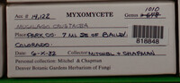 Image Associated With the Occurence